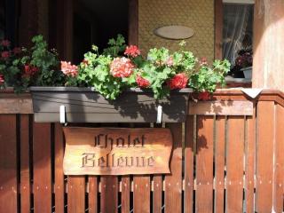 Chalet Bellevue Berg- und Seesicht - Beatenberg - 2