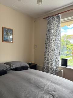 Superb Double Room near Airport - 2 - Dublino - 0