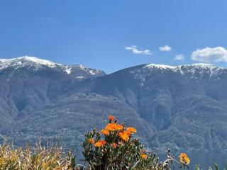 Ascona Residenz Sollevante - Ascona - 7