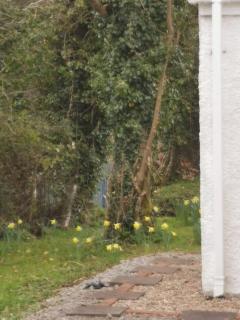 Huath - Carrick on Shannon - 6