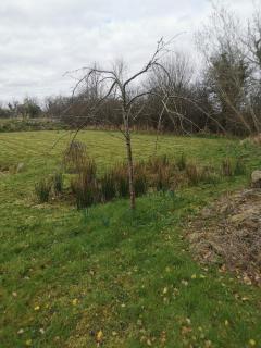 Huath - Carrick on Shannon - 1