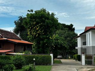 Charming Thai Style Apartment close to Lamai Beach - Amphoe Koksamui - 7