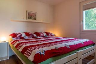 Chalet Lara - Fiesch - 5