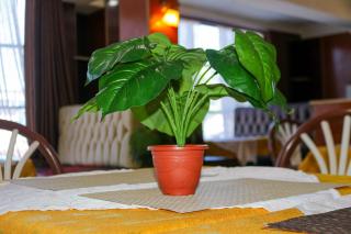 Generis Hotel - Gatunga - 6