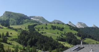 Haus Melissa - Wildhaus - 8