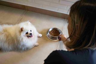 Matiz Igaratá Resort, Spa e Eventos - 4