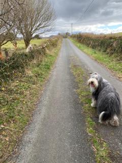 Coastal Living Wild Atlantic Way - near Strandhill - Sligo - 9