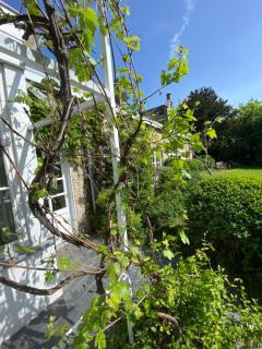 Walden - Lo-Reninge - 1