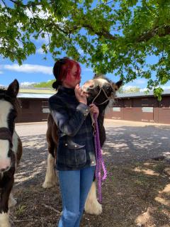 Horsey-Holidays - - 1