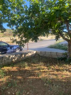 Featured House Furnished Independent for Rent - Ajloun - 3