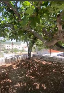 Featured House Furnished Independent for Rent - Ajloun - 2