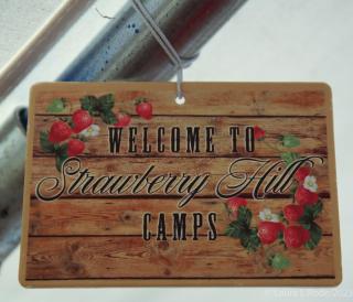 Strawberry Hill Camps - Hartwick - 6