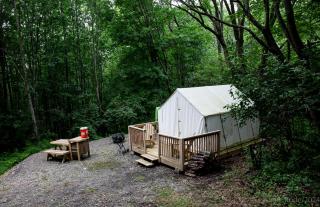 Strawberry Hill Camps - Hartwick - 1