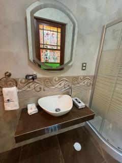 Hotel Boutique Del Buendia - San Luis Potosí - 1