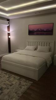 شقه فاخره حي حطين - 7