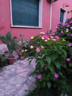 Bella di notte - 4