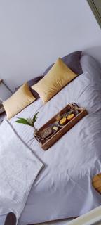 Studio confort montagne - Aulus-les-Bains - 5