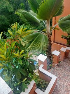 Recámara para dos personas, WiFi y piscina - Temixco - 2