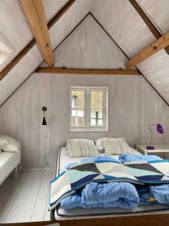 Tinyhouse Thorøhuse - Assens - 3