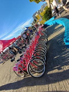 QUEENS BEACH STUDiO HALAAL - Kaapstad - 2