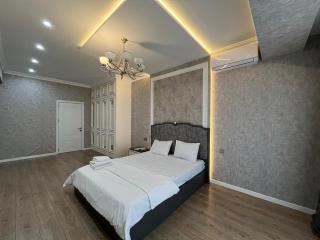 Hotel Apartment Nizami street - Baku - 1