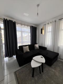 Queen Bee Apartment - Nairobi - 4