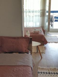 City Apartment Dojran - Star Dojran - 3