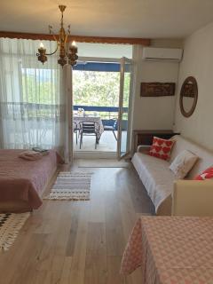 City Apartment Dojran - Star Dojran - 1