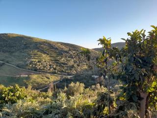 Jenny's House - Mélanes - 6