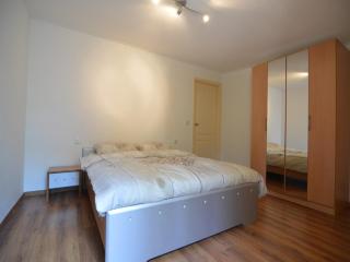 Holiday Home in Zelhem near Forest - Zelhem - 7