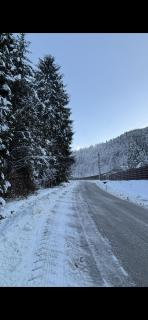 Red Chalet - Schitu-Tarcău - 7