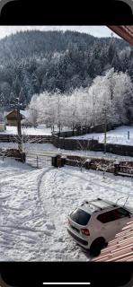 Red Chalet - Schitu-Tarcău - 4