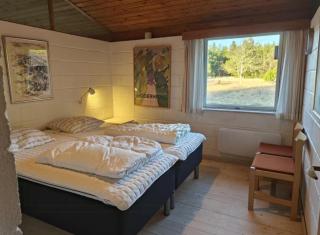 Dune House Near Bulbjerg - Frøstrup - 6