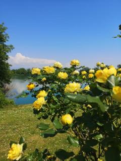 The little lake Verona villa - Bovo - 3