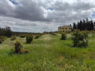 Zs Farm Kamouni - WIFI Fibre - Jacuzzi on request - 3