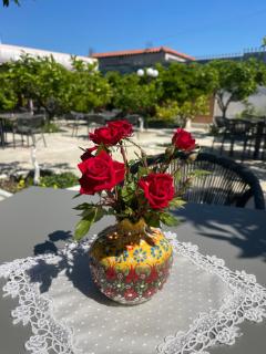 Restaurant Bujtina Portokallja - Fier - 6