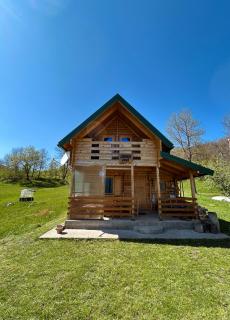 Red Forest house - Andrijevica - 9