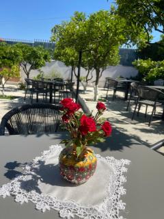 Restaurant Bujtina Portokallja - Fier - 9