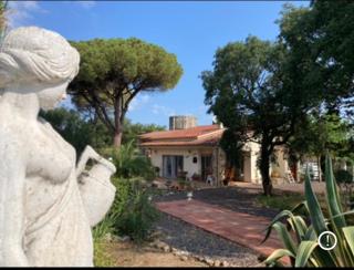 Playa, piscina, relax, naturaleza - Llagostera - 9