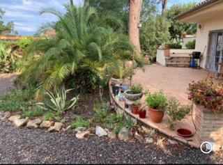 Playa, piscina, relax, naturaleza - Llagostera - 8
