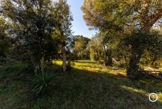 Playa, piscina, relax, naturaleza - Llagostera - 5