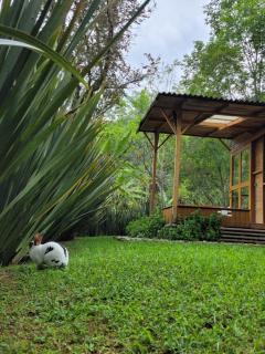 Exclusivo Cocora con Jacuzzi Salento Quindio - Salento - 9