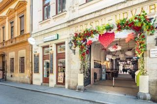 Ultra Central - Comfy Home - Budapest - 6