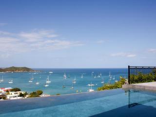 Carribbean Hill - Stunning View and infinity pool - 3