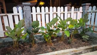 Miss Kay Homestay - Kampong Jelatang - 5