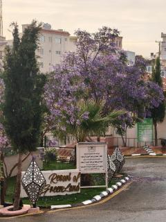 شاليهات الارض الخضراء لبيوت العطلات - Al-Bāha - 0