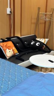 Cat homestay - Hoàng Ngà - 1