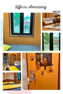 Cat homestay - Hoàng Ngà - 6