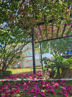 Cozy kitnet - Guarapari - 2