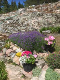 The Frigge Cottage - Sankt Anna - 2